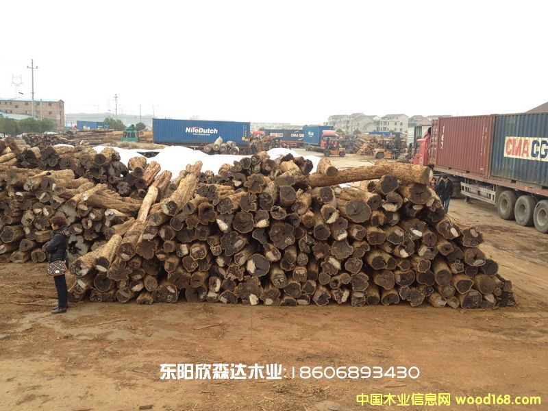 Ϲ̴(|ǺS̴,ľ,̴)130226-5