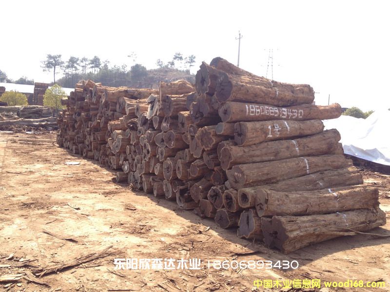 Ϲ̴(|ǺS̴,ľ,̴)130226-8