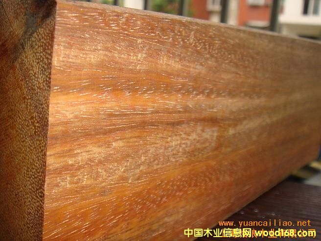 印尼菠蘿格(全紅濕板)