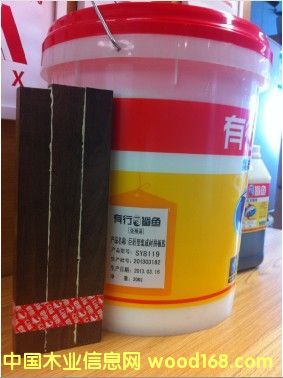 tľƴzƴzʡXƴzõƴz