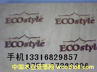 LOGOCӡCԔB