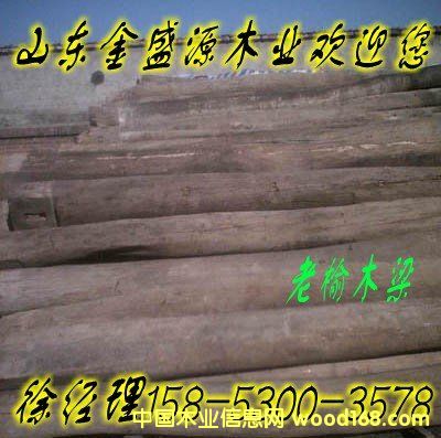 [] TʽľTNԭľľʢԴľI