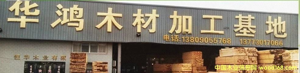鐵杉的詳細介紹
