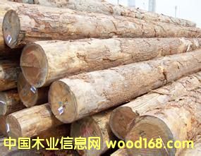 黨ľԭľtľԭľڏԭľ飩