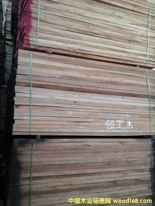 鉛筆柏的詳細介紹