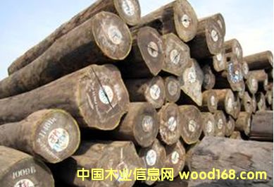 柚木王的詳細介紹