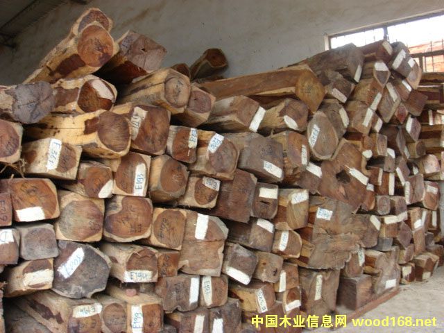 ϓ뽻ֺS̴M؛ԴϢϺMP