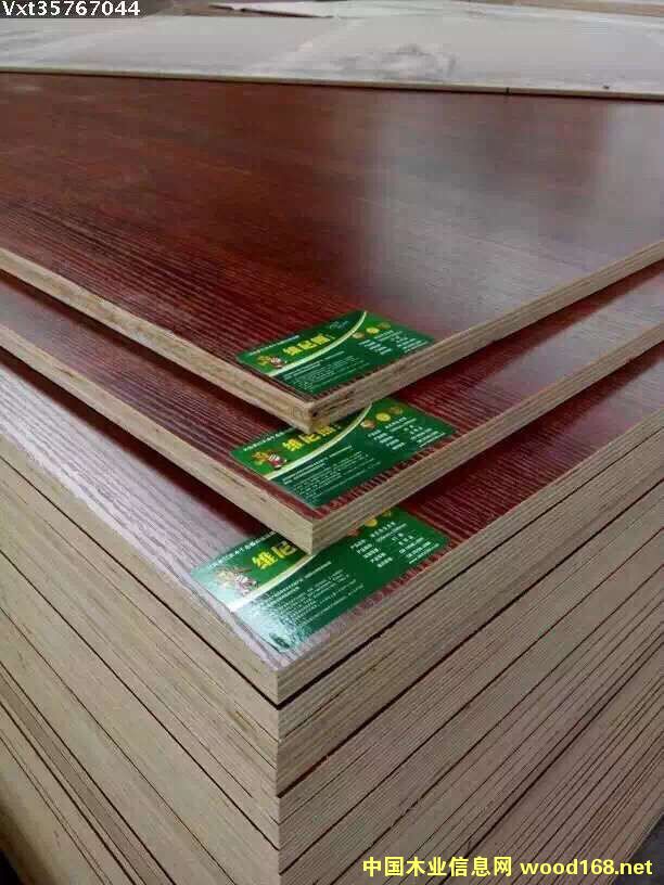 [] RʼҾ߰aSҾSȫE1Ҿ߰S