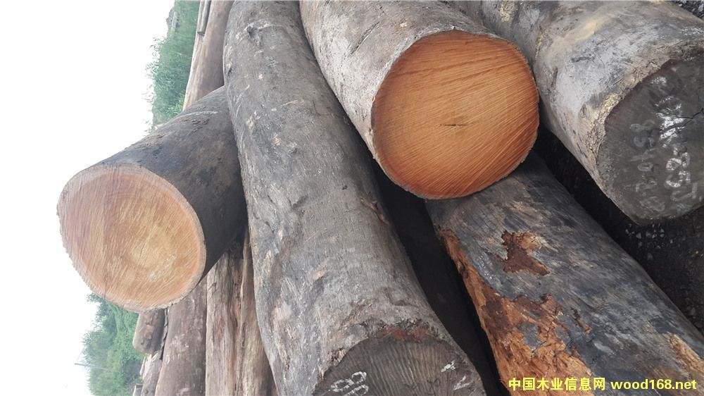 [] ڈ@ֹŽľ-޲}ľMľ