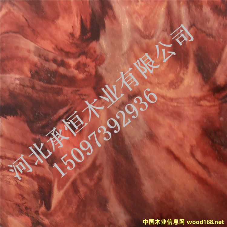 [] ӱкľIиܶȰbϱ| SֱN