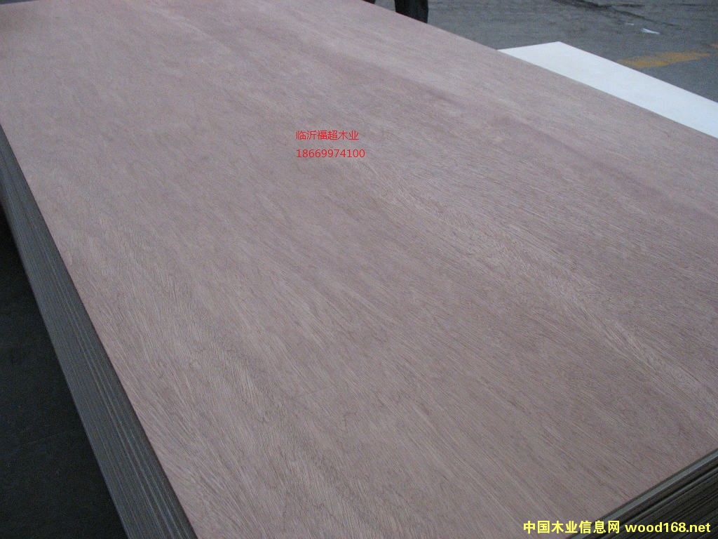 c鿴ǹ zϰ 18mmŴDƬ