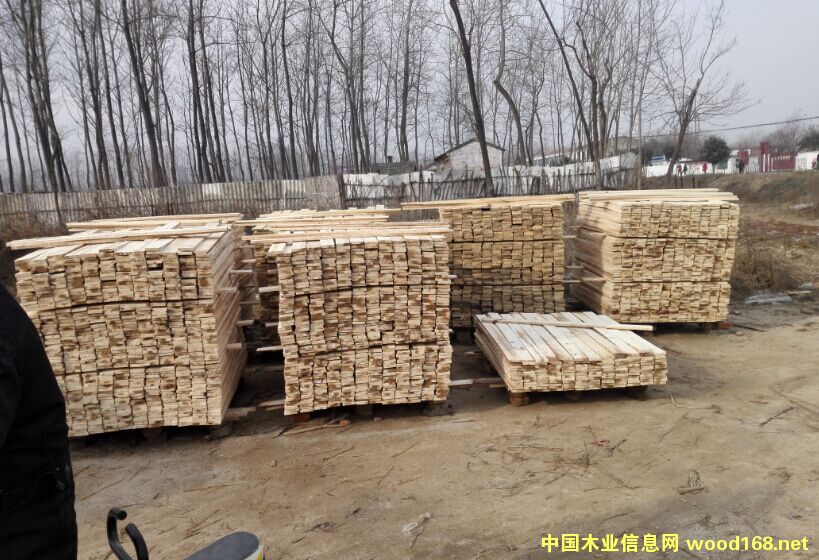 托盤料的詳細介紹