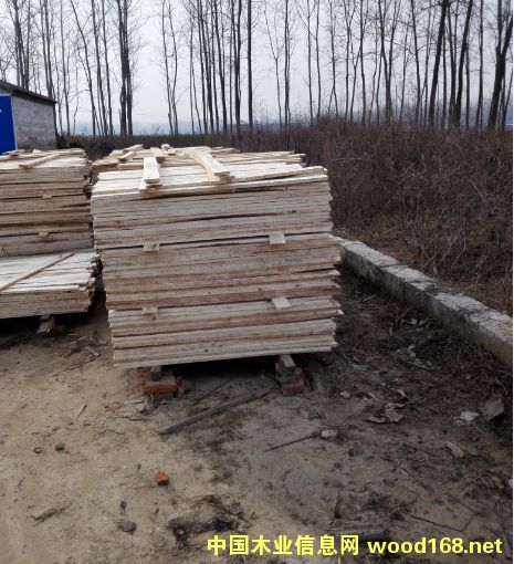 托盤料的詳細介紹