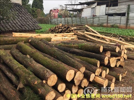 ϳ䣺ƤoCӹľ LQȫжձ