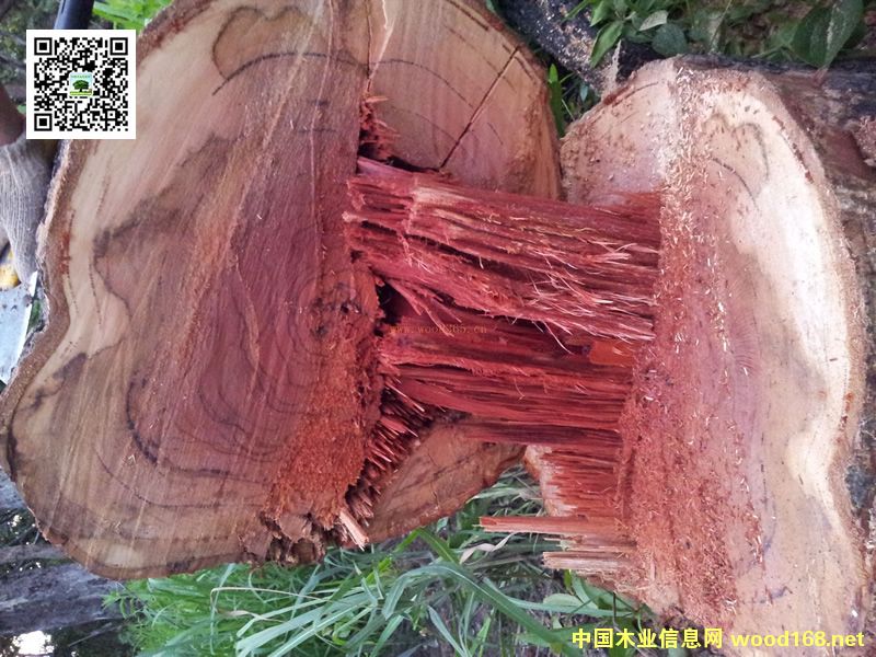 t֦20ѝqٱ10߀ϝq30