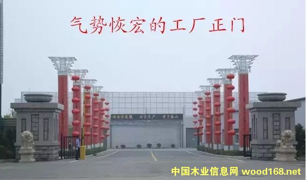 ɭ•ɯ񡪡ľĵA͑׃