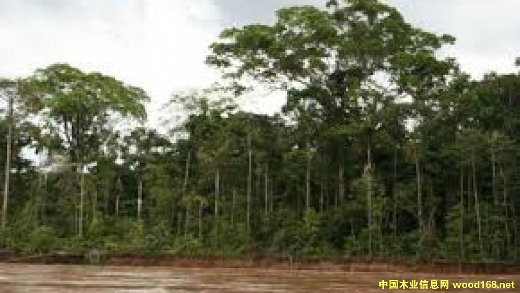 Gɫƽָ؟ЇMڄcǷľQ