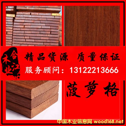 菠蘿格的詳細介紹