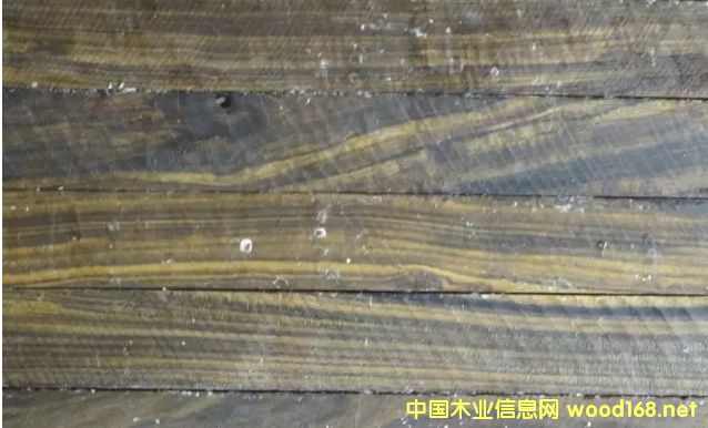 木材百科:沉貴寶木材產地和詳細特征