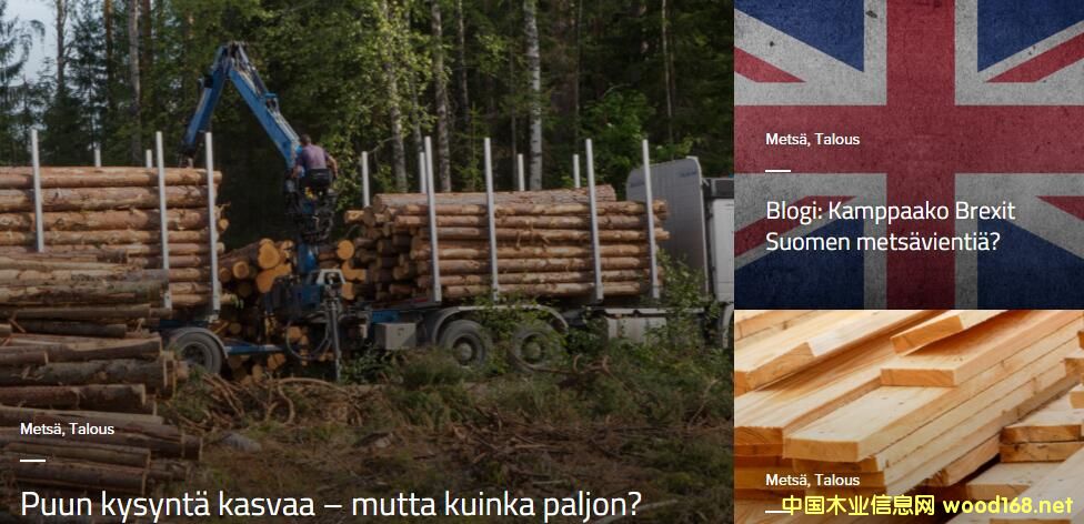 mľĘIڿ׃Ј