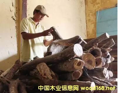 Htľ^죺Խ̴ľĽ׷NĿ