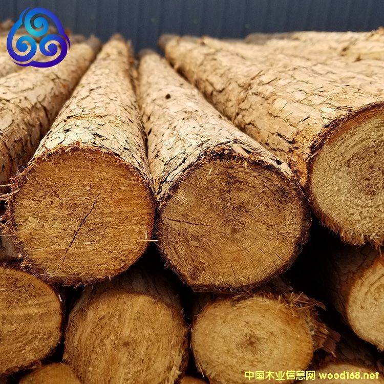 [] ɳU̷ֱoɼľUԴ^؛