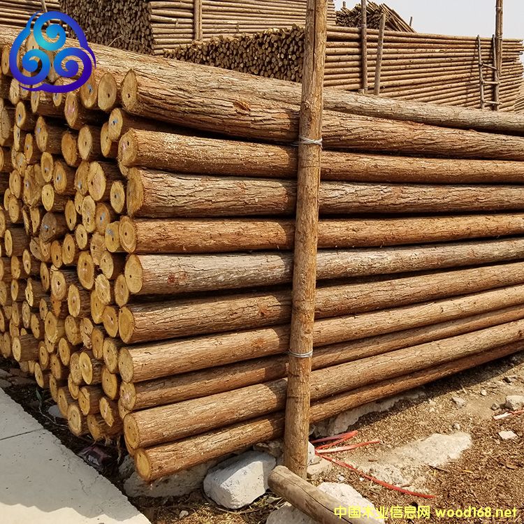 [] ɳU̷ֱoɼľUԴ^؛