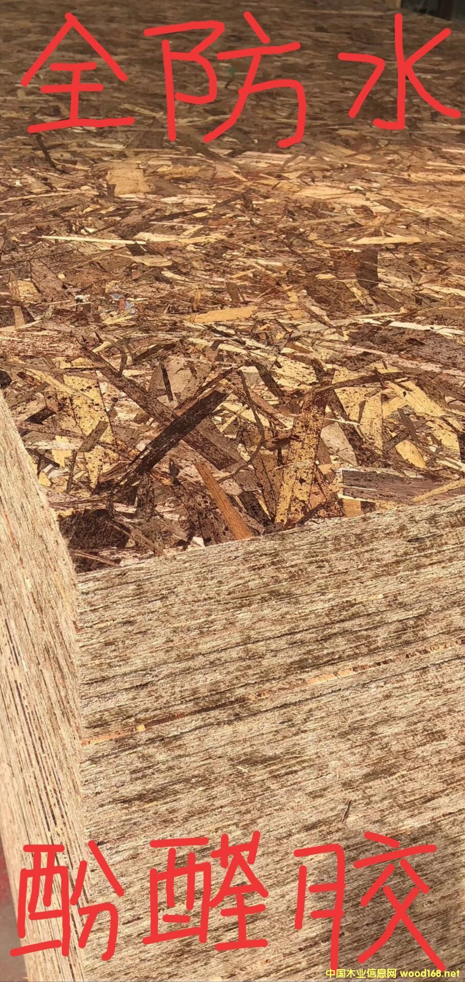 [] ˮOSBWɰٻľp䓄eðĚWɰٻ