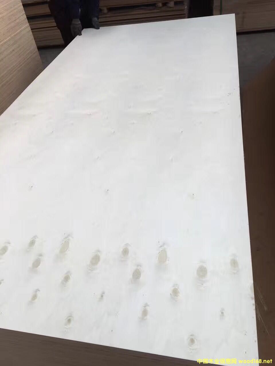 [] ֱN谷