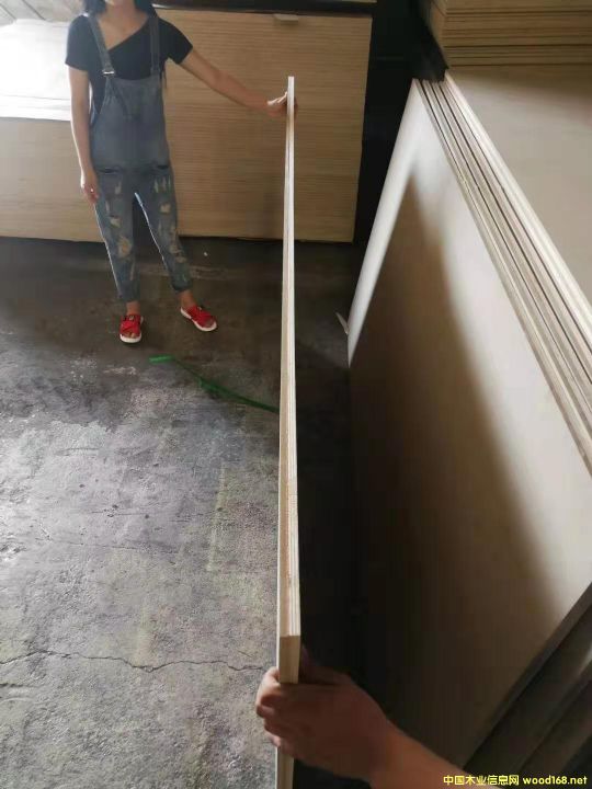 板材的詳細介紹