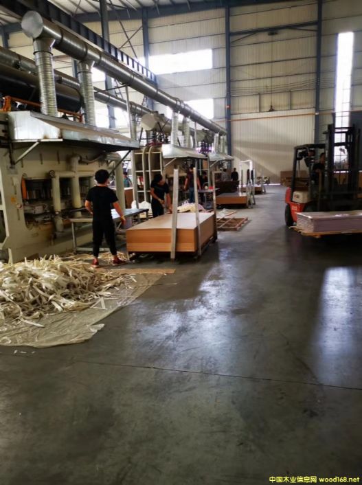 板材的詳細介紹