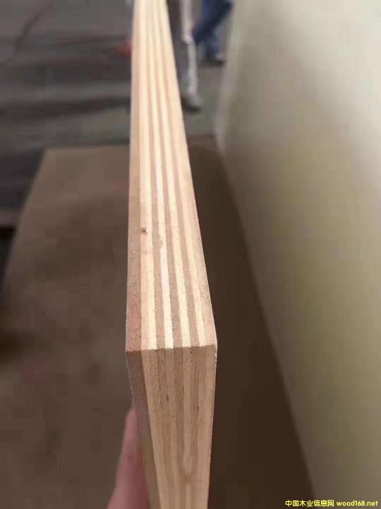 板材的詳細介紹