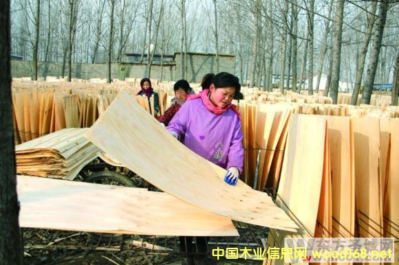 ɽhС·ľIYԴݴlչƤӹI