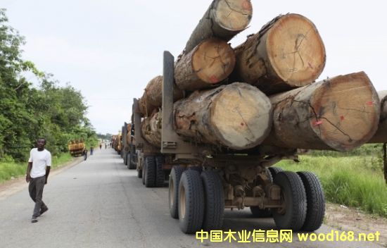 ľӰ:ɳW޼t浽ɽͻ