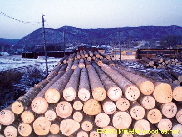 ЇľII߳ȥ_˹YIѲҕ֮---WľIF