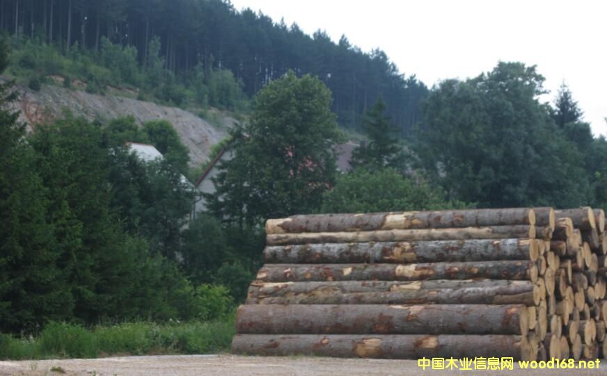 _؁ľĹ˾ʵ2017Ȳɷ~