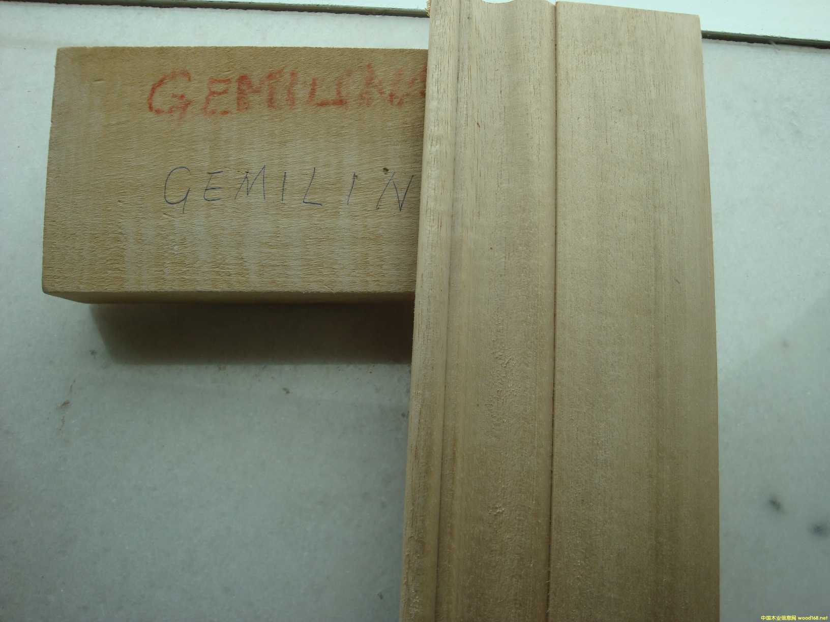 [] ľľeʯľGMELINA