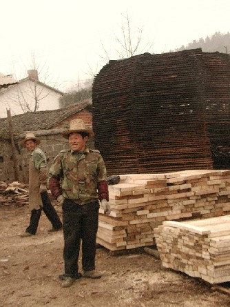 c鿴ľ,Ƥľ,ľ(˵)ŴDƬ