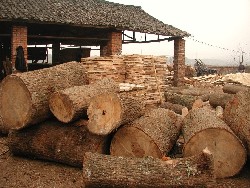 c鿴ľ(ֱ20-80)ŴDƬ