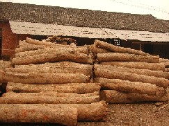 c鿴ľԭľֱ(20-60CM)ŴDƬ