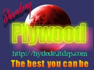 plywoodԔB